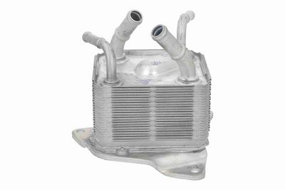 RADIATOR ULEI ULEI MOTOR ACKOJA A37600002 6