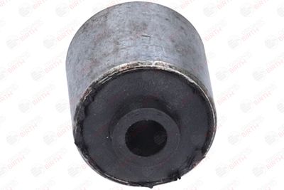 SUPORT TRAPEZ BIRTH 2109 1