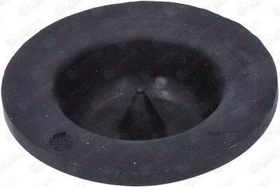 SAIBA ARC BIRTH 53805 1