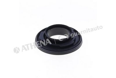 SIMERING ARBORE COTIT