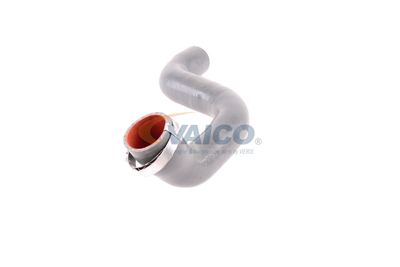 FURTUN EAR SUPRAALIMENTARE VAICO V460823 24