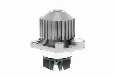 POMPă DE APă RăCIRE MOTOR VAICO V2250012 8