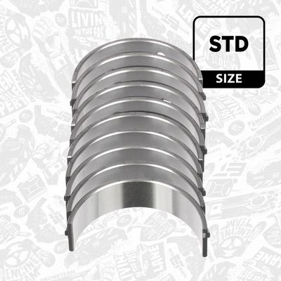 SET RULEMT ARBORE COTIT