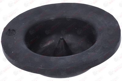 SAIBA ARC BIRTH 53805 3