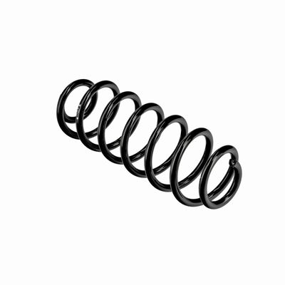 ARC SPIRAL EIBACH R10795 10