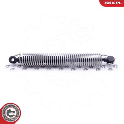 Dujinė spyruoklė, bagažinė