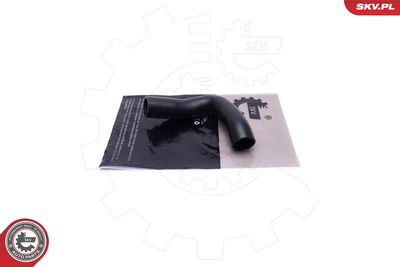 FURTUN EAR SUPRAALIMENTARE