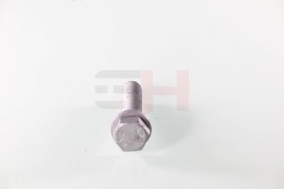 SURUB CAPAT DE AX GH GH391539 17