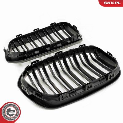 GRILA RADIATOR ESEN SKV 66SKV022 4