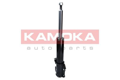 Shock Absorber 2000475