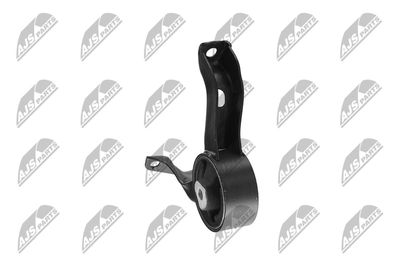 SUPORT MOTOR NTY ZPSCH012 31
