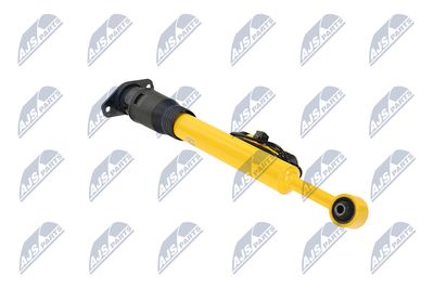 AMORTIZOR NTY ACH123 13