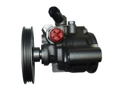 HYDRAULIKPUMPE LENKUNG SPIDAN 53594 2