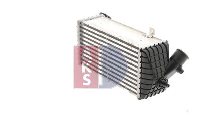 INTERCOOLER COMPRESOR AKS DASIS 567022N 9