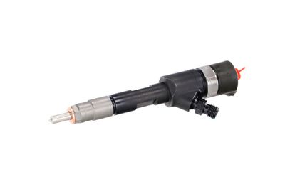 INJECTOR REMANTE 002003001718R 7