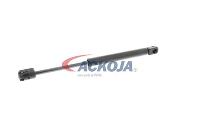 AMORTIZOR PORTBAGAJ ACKOJA A320134 33