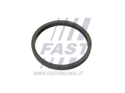 Уплотняющее кольцо, масляный радиатор FAST FT49924 для DAIHATSU COPEN