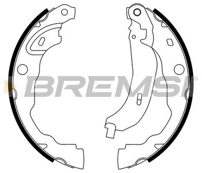 Brake shoe set