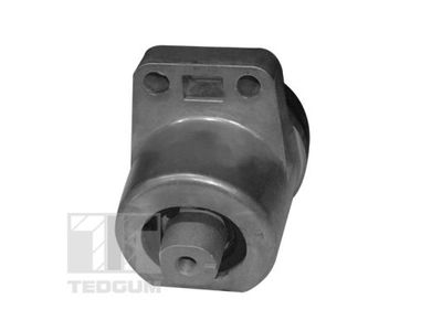 SUPORT MOTOR TEDGUM 00399821 2
