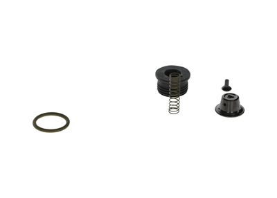 Sada na opravy, systém common rail BOSCH F 00N 203 059