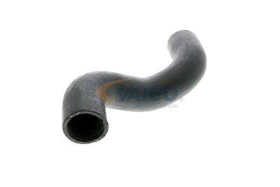 LADELUFTSCHLAUCH VAICO V480065 53