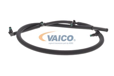 SCHLAUCH LECKKRAFTSTOFF VAICO V303327 12