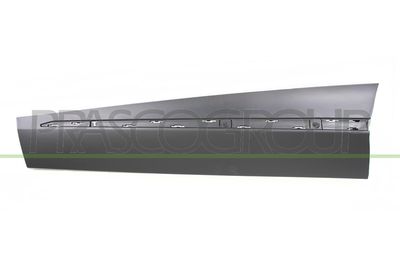 ZIER-/SCHUTZLEISTE TüR