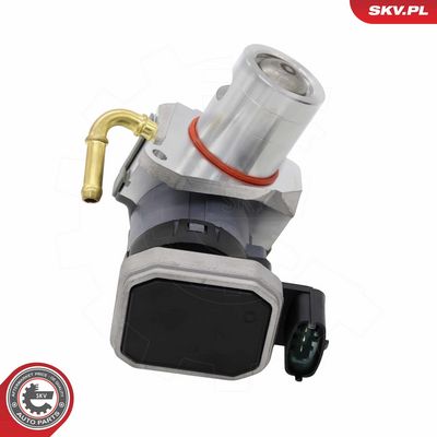 AGR-Ventil ESEN SKV 14SKV303