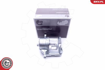 Brake Caliper 46SKV211