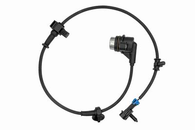 SENZOR TURATIE ROATA