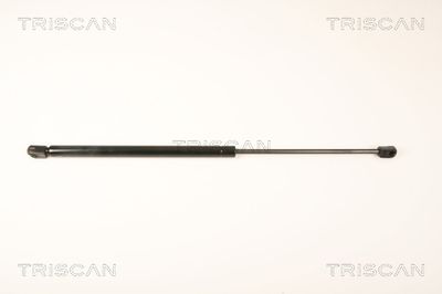 KAWE 8710 25250 Амортизатор багажника и капота  для RENAULT MEGANE II универсал (KM0/1_) 1.9 dCi