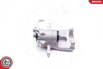 Brake Caliper 34SKV484