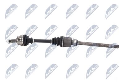 PLANETARA NTY NPWFT051 25