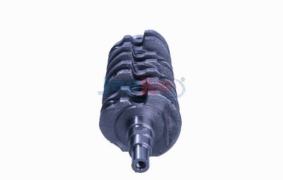 ARBORE COTIT JAPKO 8DW001 1