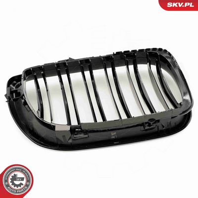 GRILA RADIATOR ESEN SKV 66SKV081 5