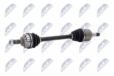 PLANETARA NTY NPWCT008 22