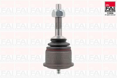Шарнири FAI AutoParts SS5805