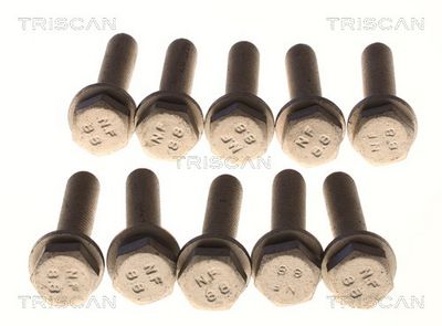 Boulon de fixation, bras transversal TRISCAN
