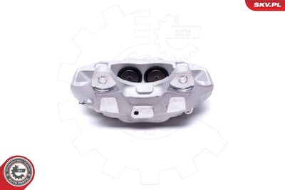 Brake Caliper 42SKV412