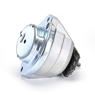 LAGERUNG MOTOR DELPHI TEM258 13