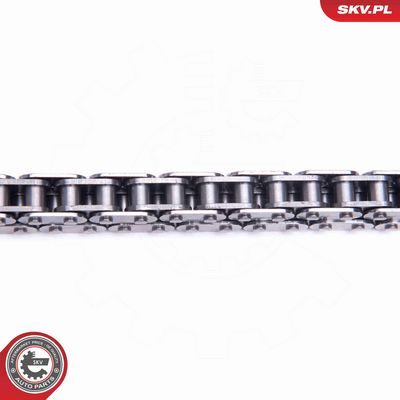 CHIT LANT DE DISTRIBUTIE ESEN SKV 21SKV169 2