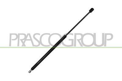 AMORTIZOR PORTBAGAJ PRASCO FD1129055