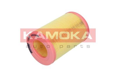 Air Filter F254001