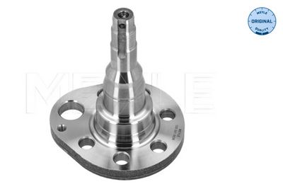 BUTUC ROATA CORP AXA