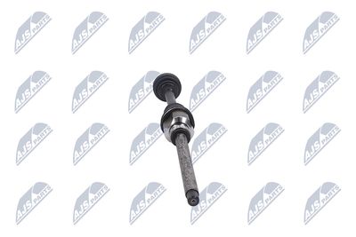 PLANETARA NTY NPWPE081 33