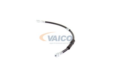 FURTUN FRANA VAICO V104138 16