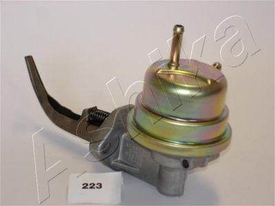 POMPA COMBUSTIBIL ASHIKA 0502223 1