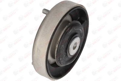 RULMENT SARCINA SUPORT ARC BIRTH 52126 11