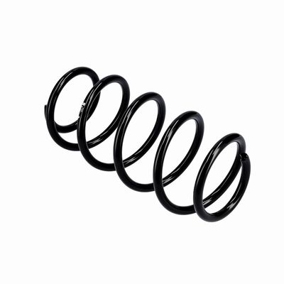 ARC SPIRAL EIBACH R10341 10