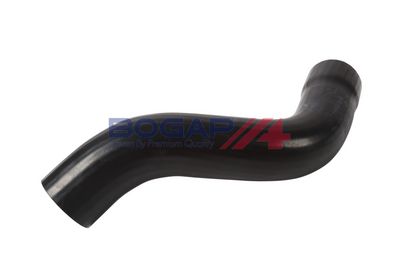 FURTUN EAR SUPRAALIMENTARE BOGAP P1711121 2